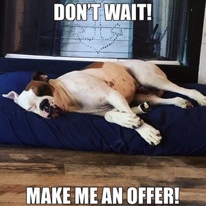 Dozer considers all reasonable offers!